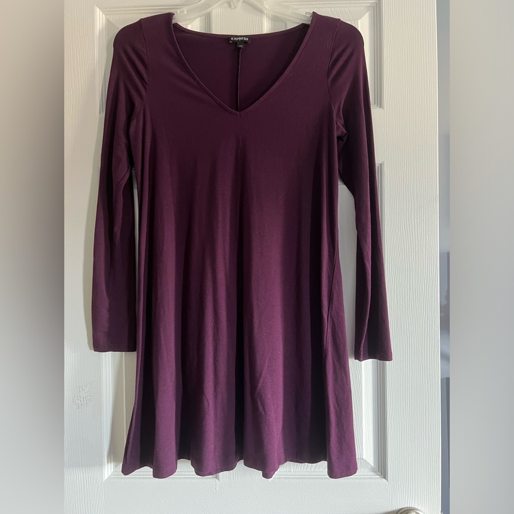 Express Long Sleeve Dress